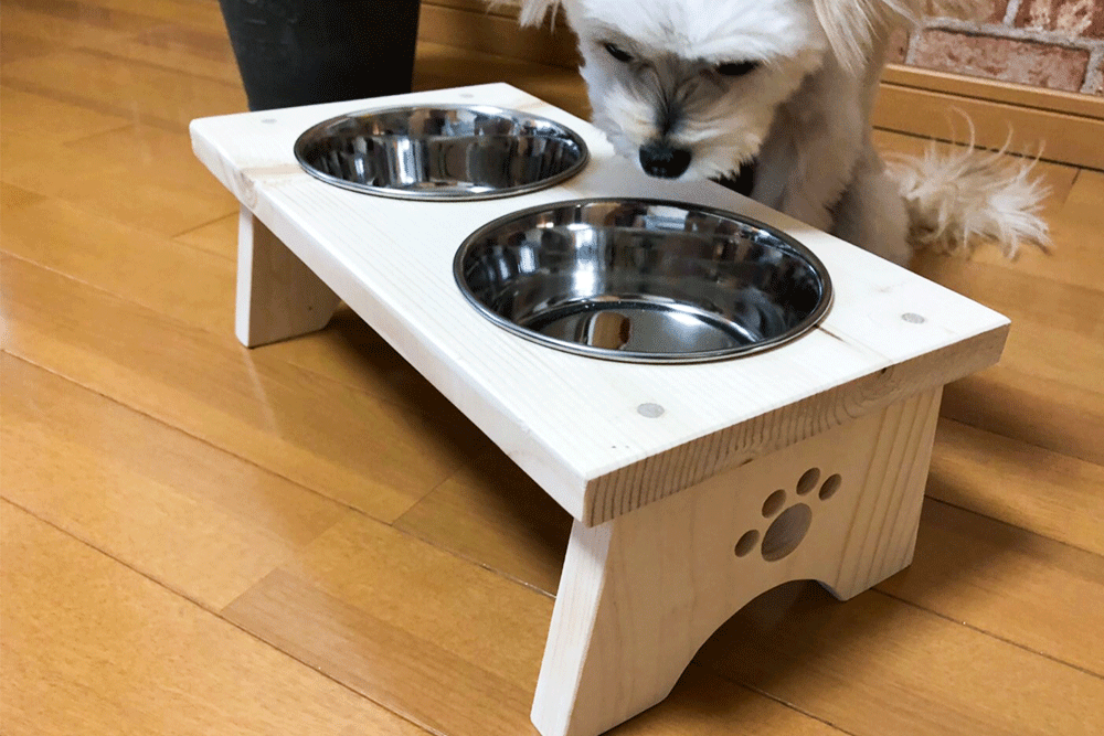 愛情たっぷり。ペットフィーダーを作ろう