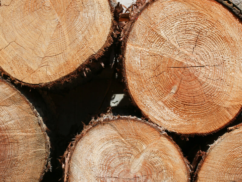 木材の基礎知識〜各部名称と木目〜 | DIY FACTORY